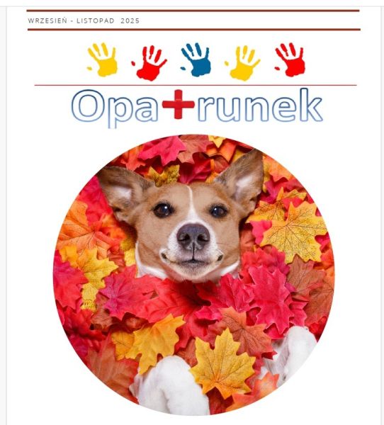 opatrunek zima 2025 800 600 80 c