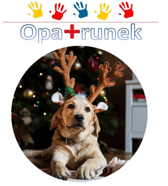 opatrunek luty 2025 800 600 80 c