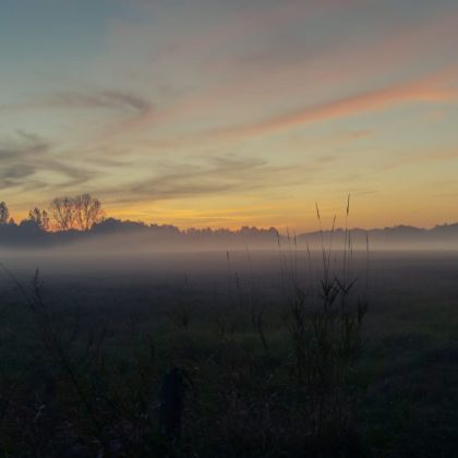 pejzaż